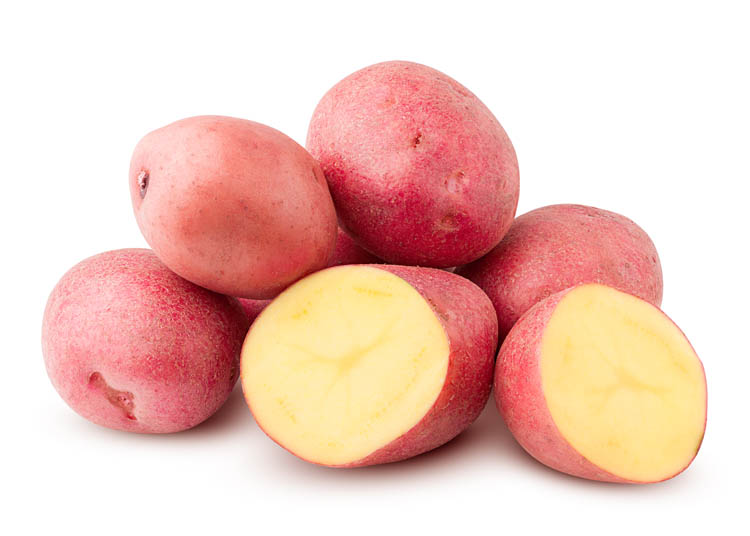 Production de pomme de terre Rive-Nord de Montréal
