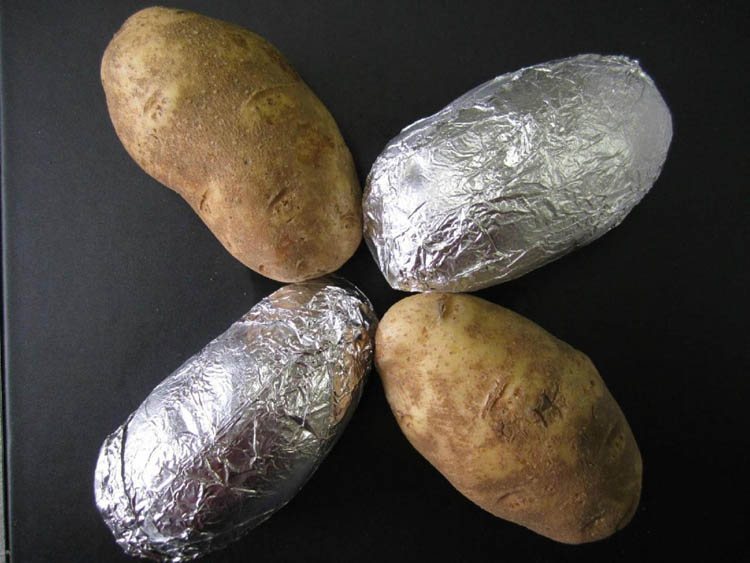 Production de la pomme de terre Joliette